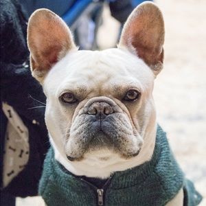 Meet your Posher, Dena